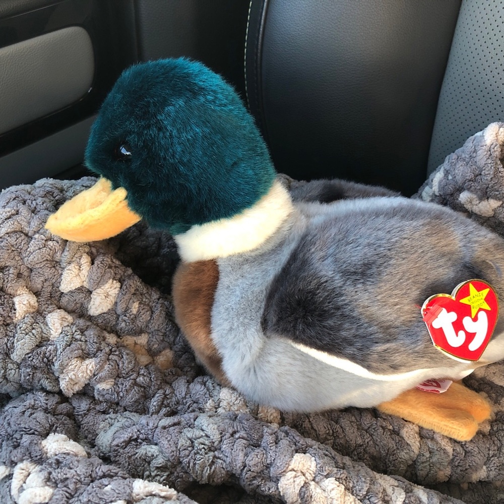 Jake beanie baby buddy